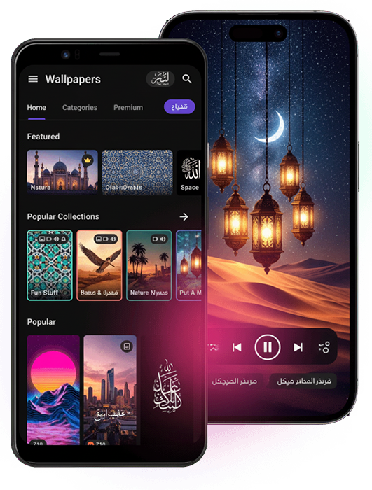 واجهة التطبيق